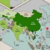 چین درخت لگانے میں دنیا میں سب سے آگے